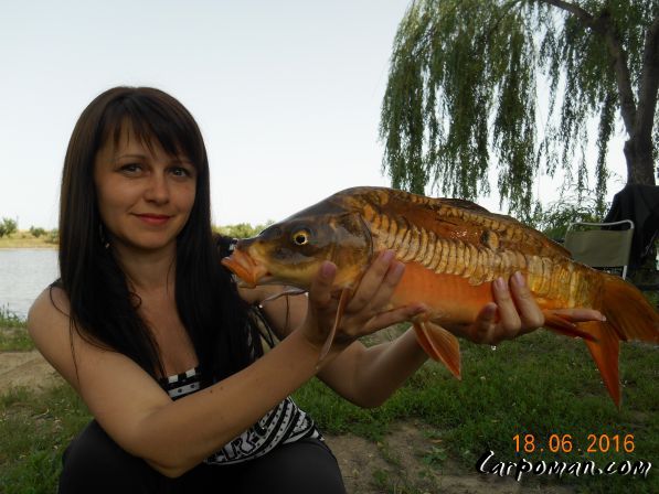 Золотая рыбка!