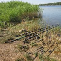Рыбалка в Семеновке 26-27 июля