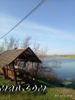 Обзор 2019. Ставок в Надеждовке Херсонской области