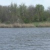 Рыбалка в начале мая на Щербанях