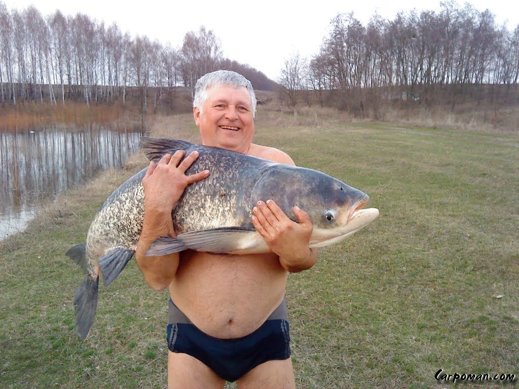 ПРИКОРМКА ДЛЯ ТОЛСТОЛОБА СВОИМИ РУКАМИ. — Карповая рыбалка в Украине